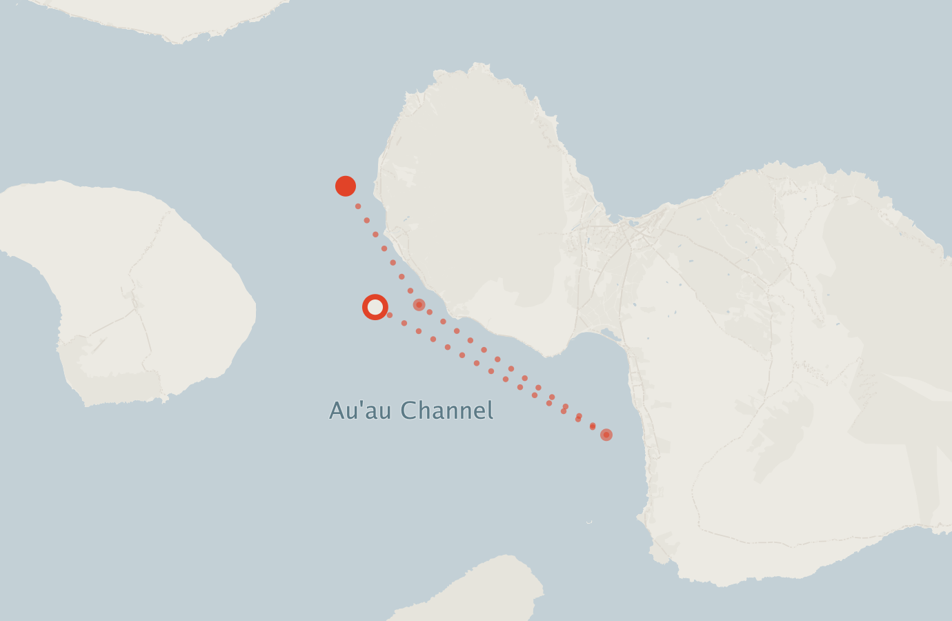 Activity map — real sighting points on an OpenStreetMap basemap