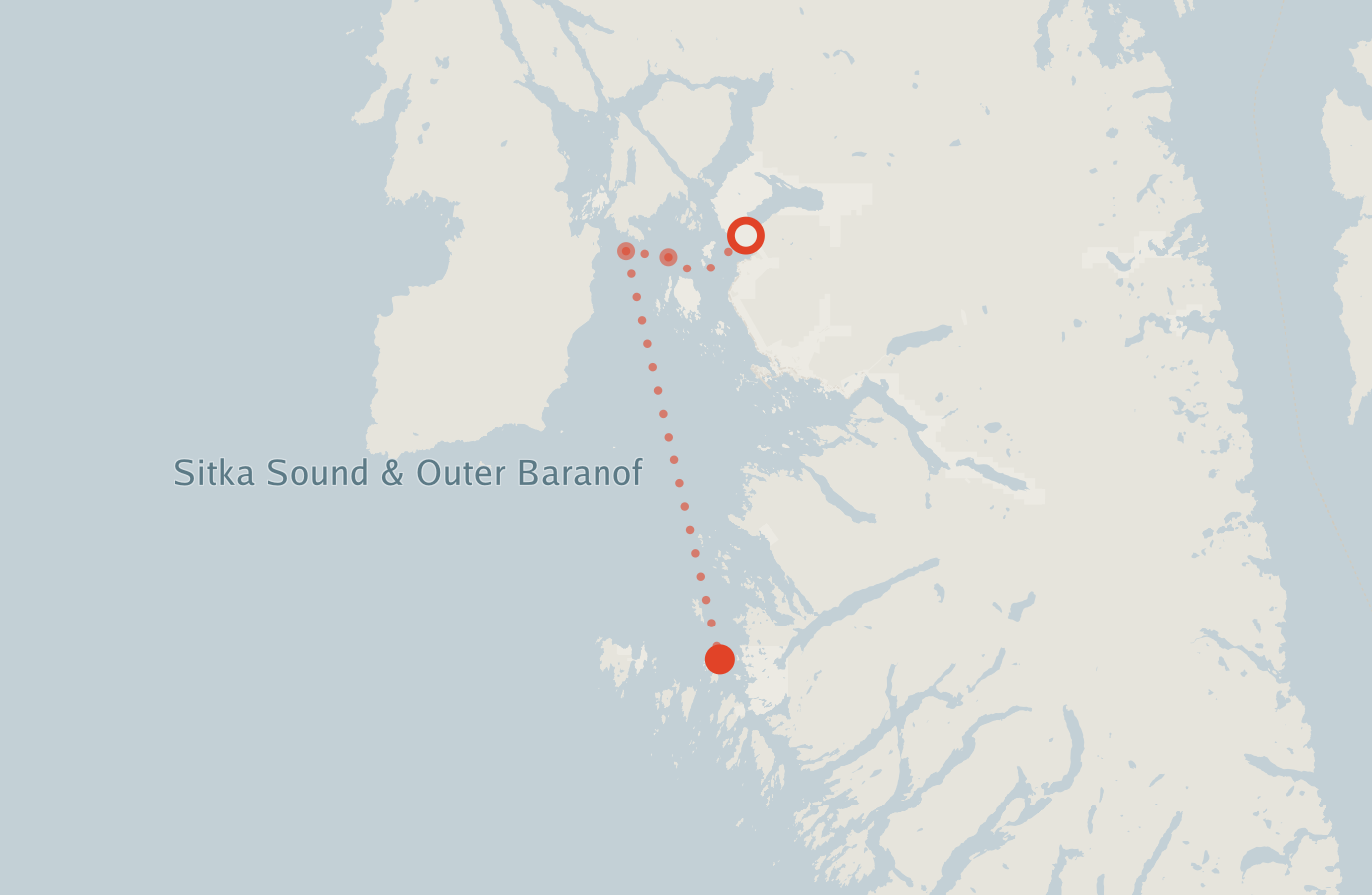 Activity map — real sighting points on an OpenStreetMap basemap