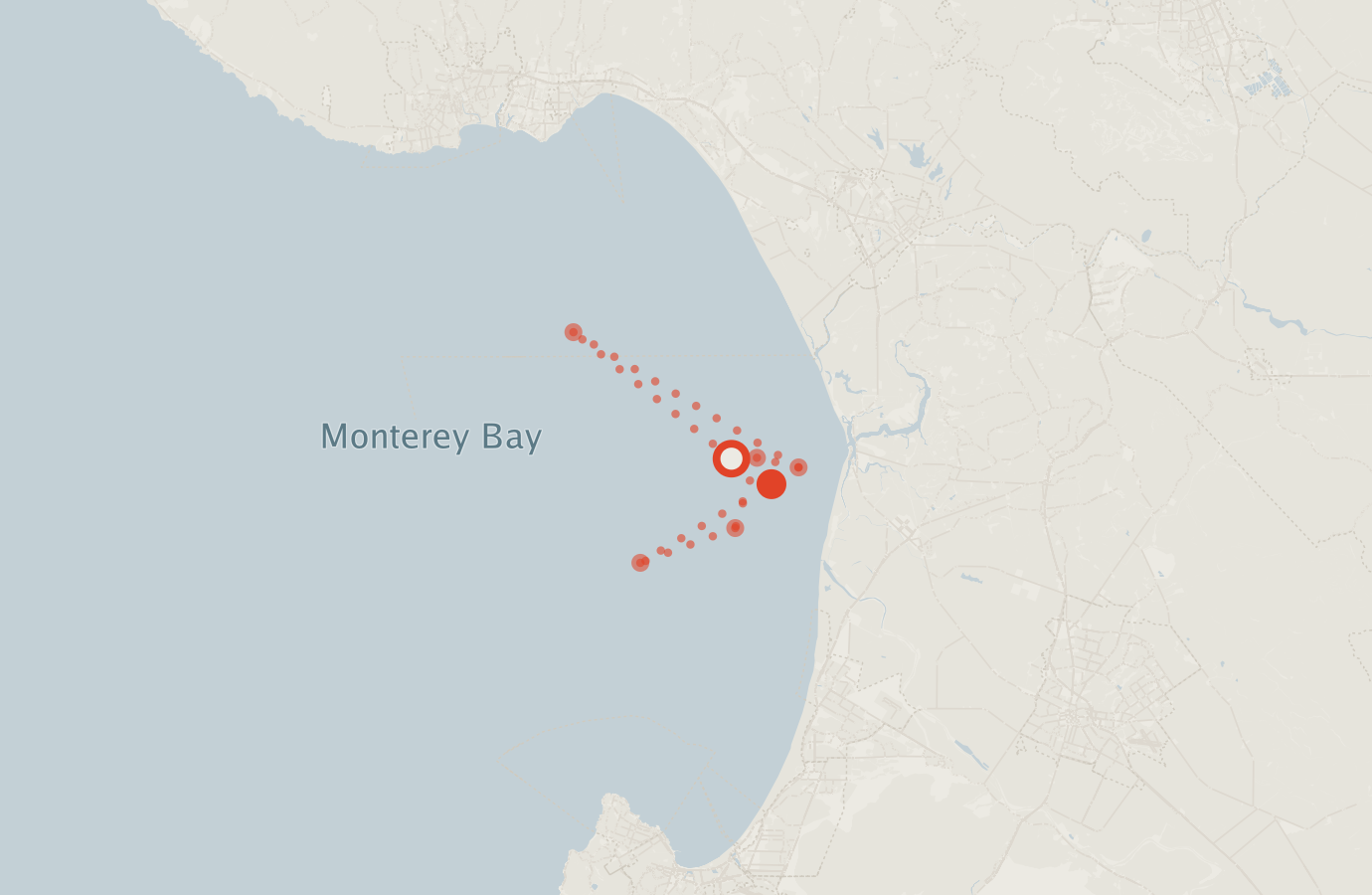 Activity map — real sighting points on an OpenStreetMap basemap