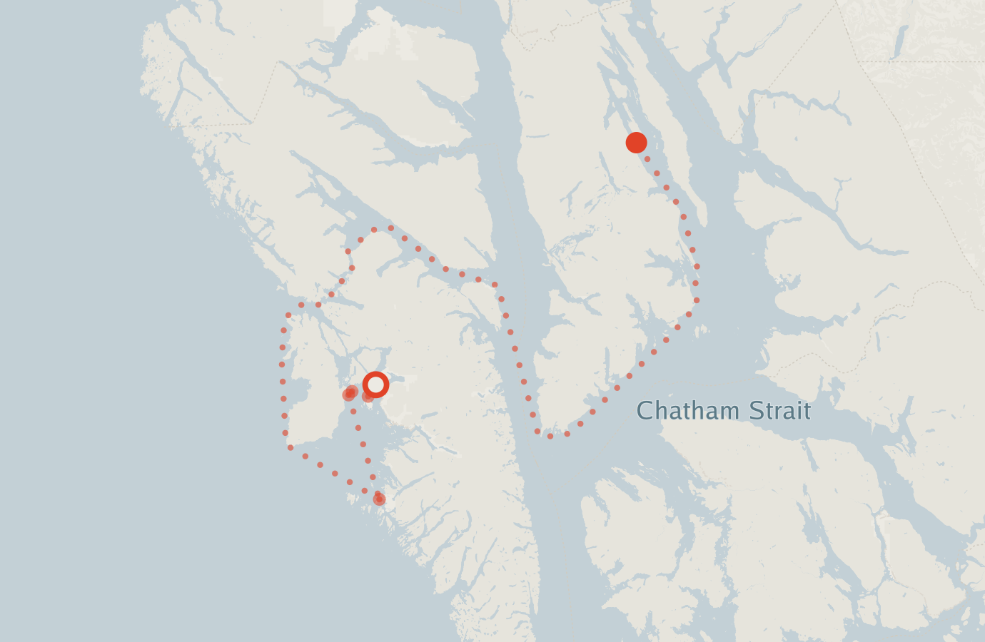 Activity map — real sighting points on an OpenStreetMap basemap