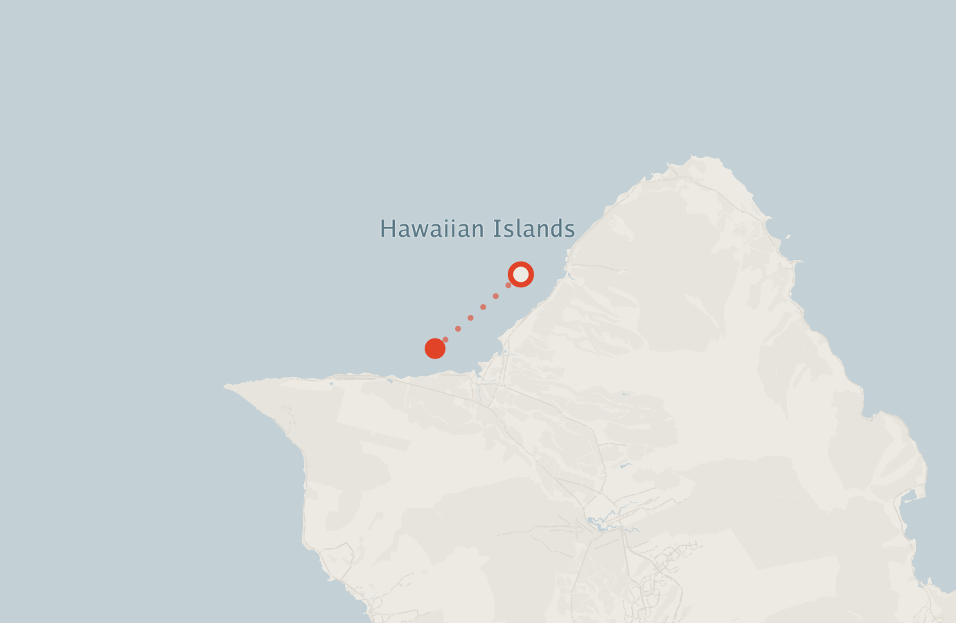 Activity map — real sighting points on an OpenStreetMap basemap