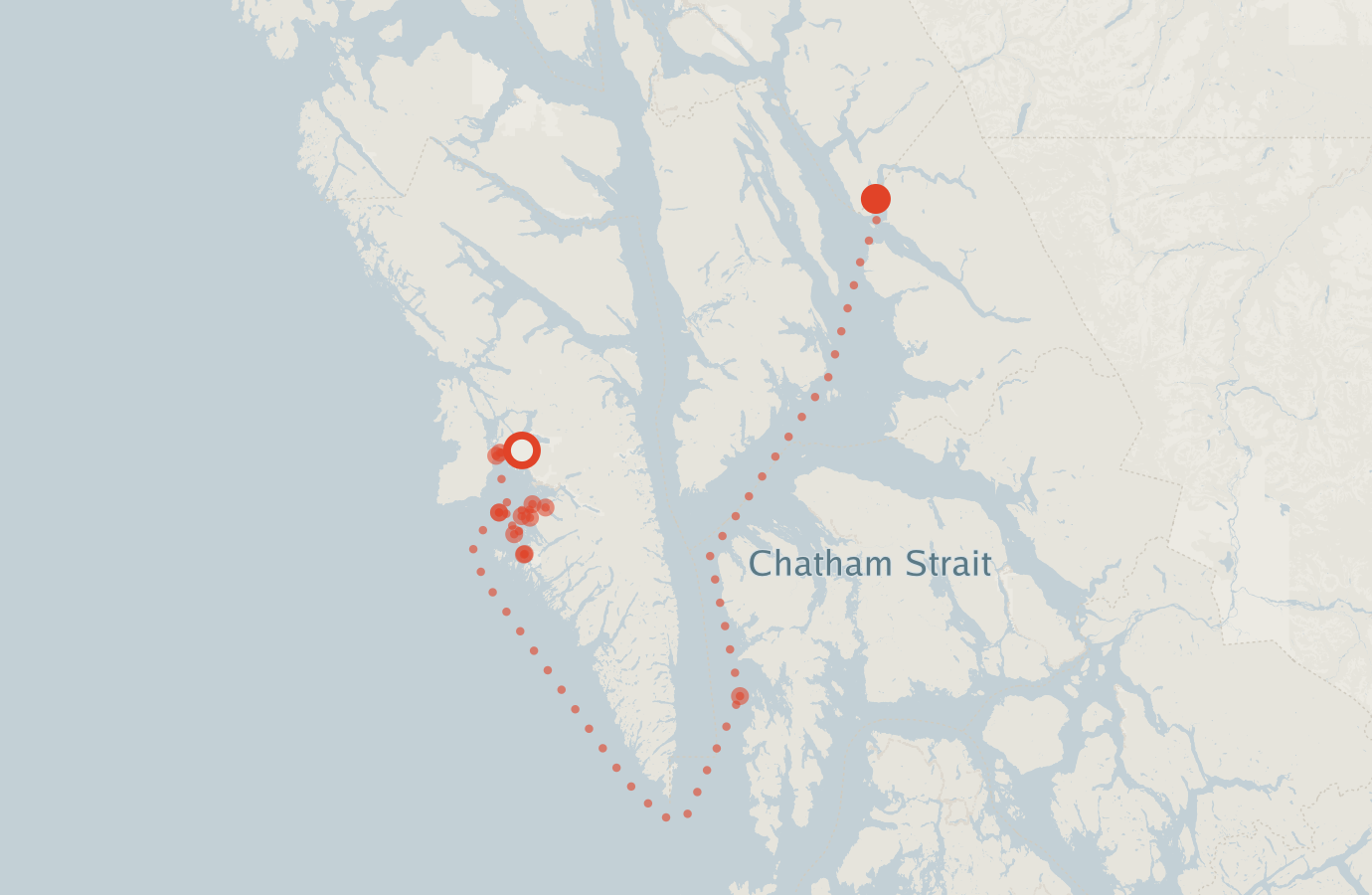 Activity map — real sighting points on an OpenStreetMap basemap