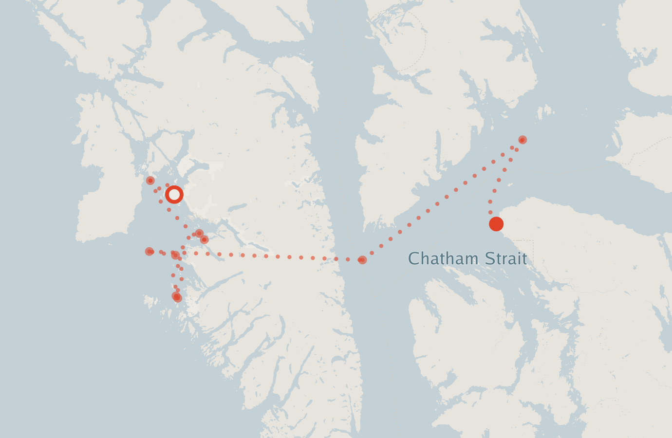 Activity map — real sighting points on an OpenStreetMap basemap