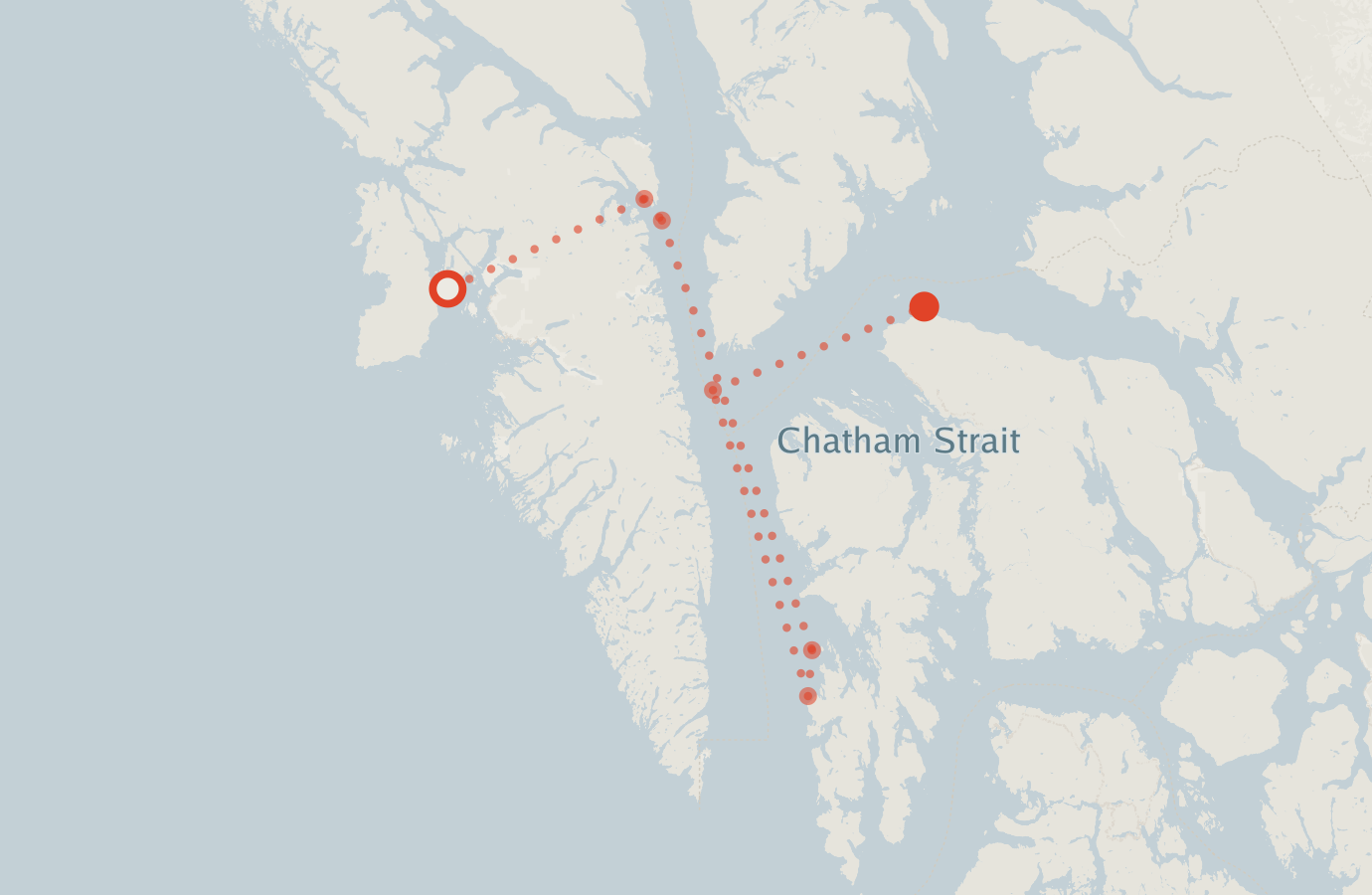 Activity map — real sighting points on an OpenStreetMap basemap