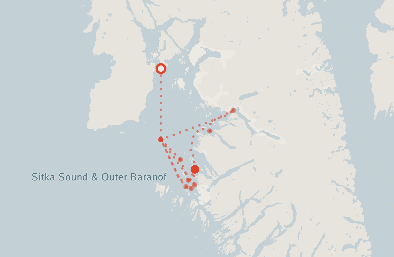 Activity map — real sighting points on an OpenStreetMap basemap