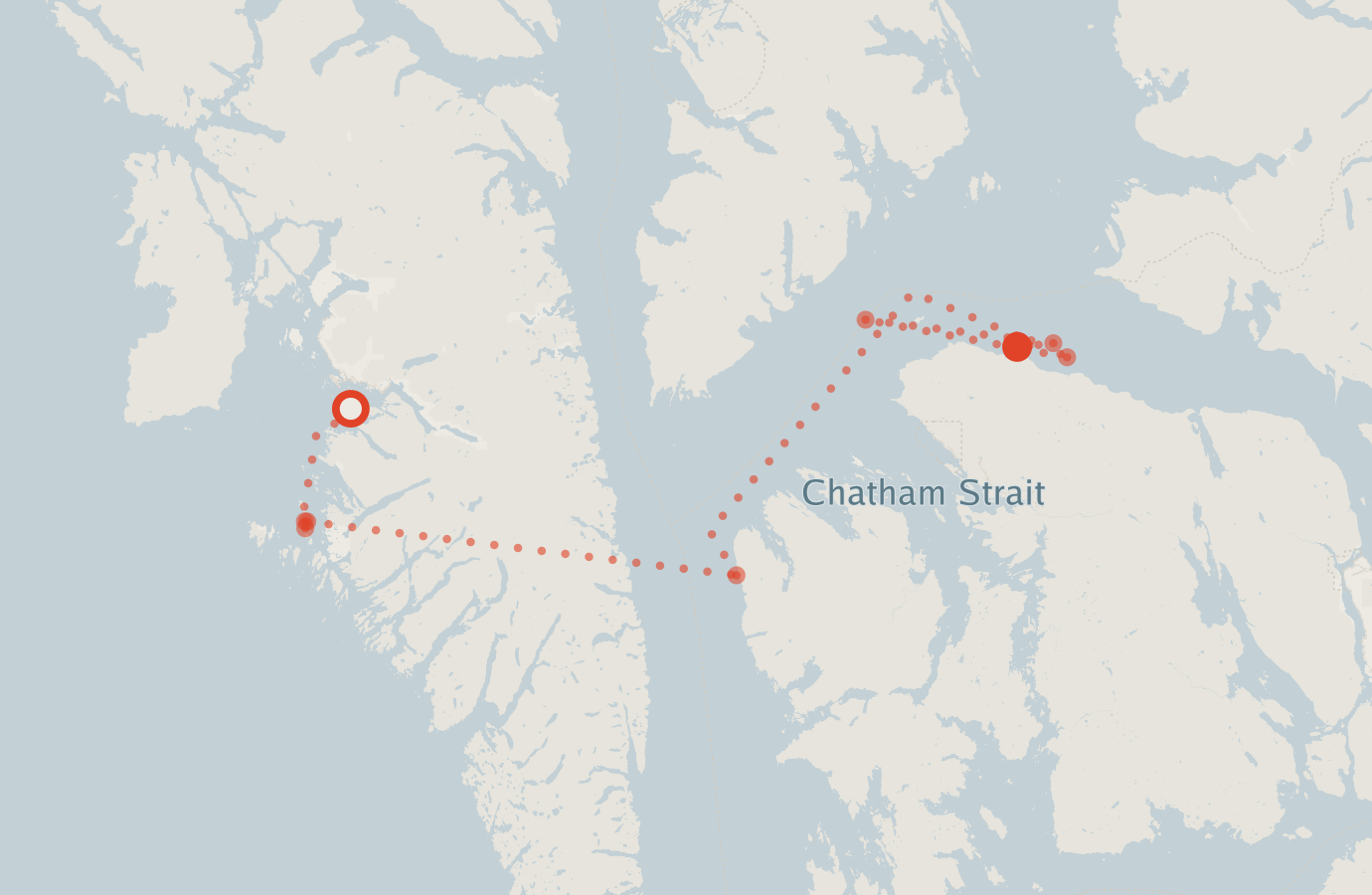 Activity map — real sighting points on an OpenStreetMap basemap