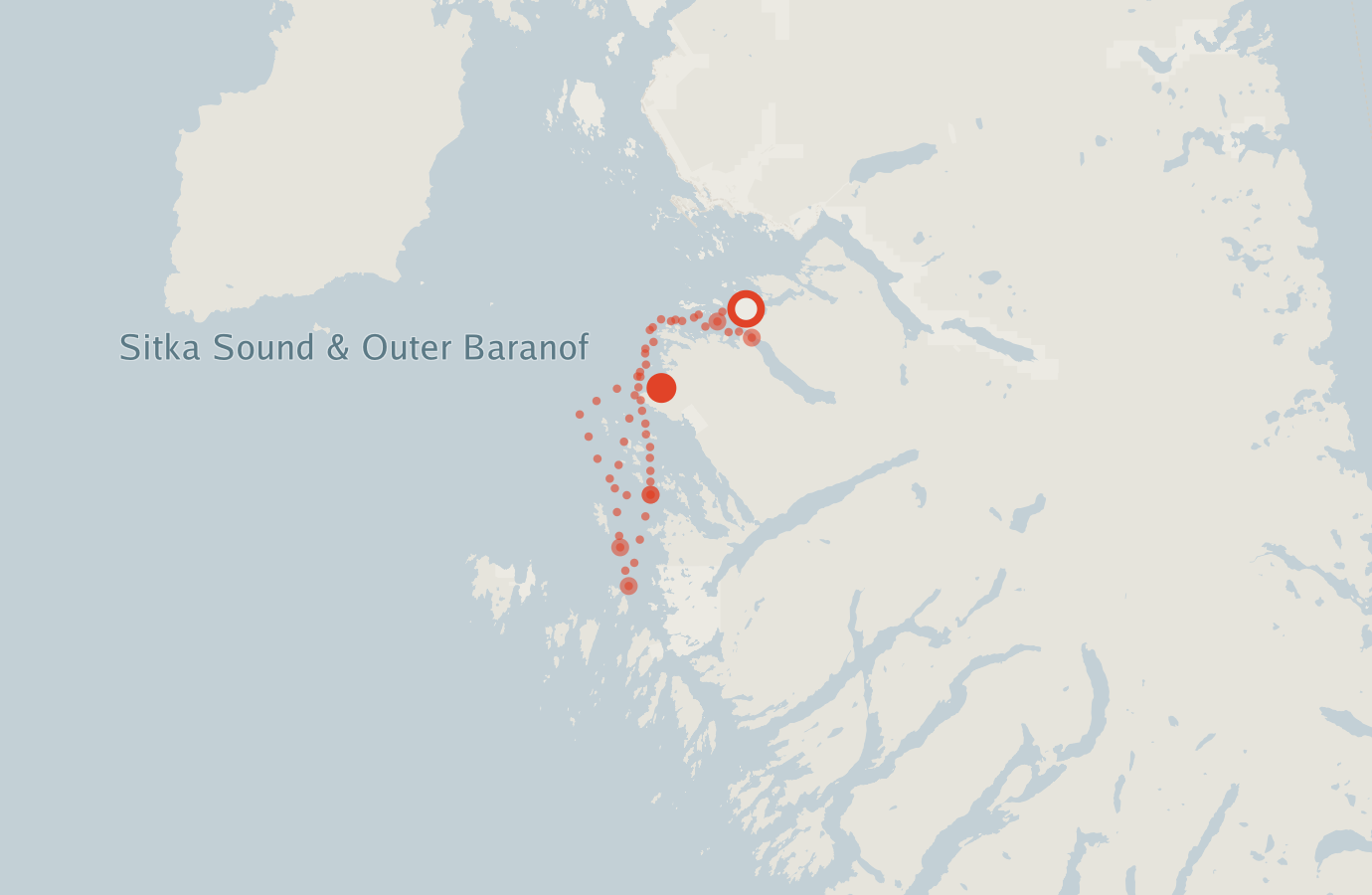 Activity map — real sighting points on an OpenStreetMap basemap