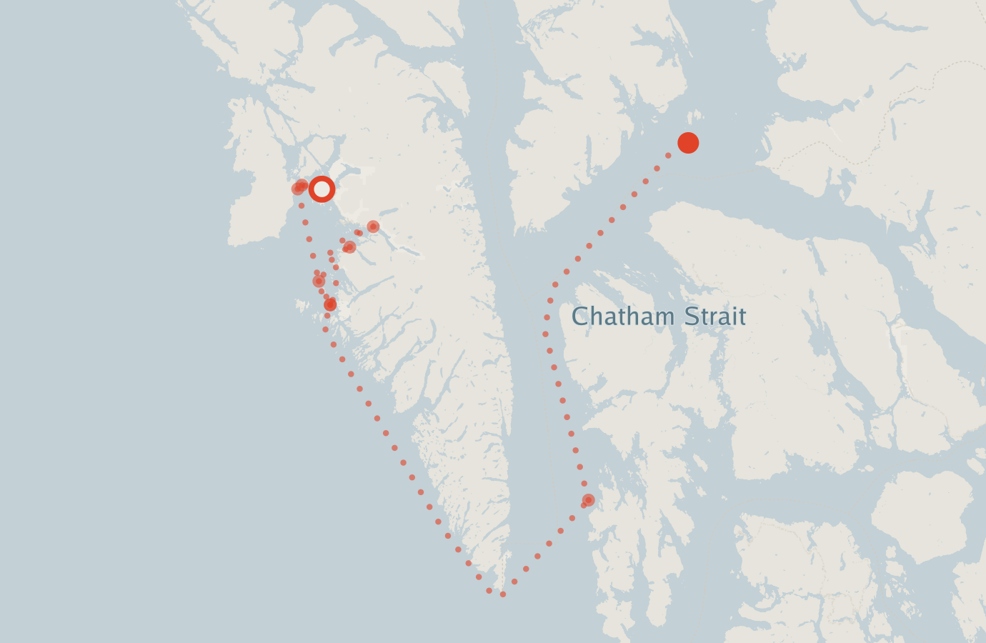 Activity map — real sighting points on an OpenStreetMap basemap