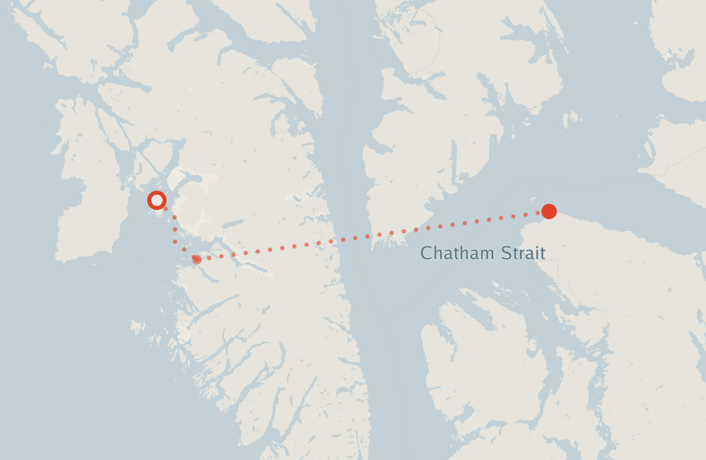 Activity map — real sighting points on an OpenStreetMap basemap