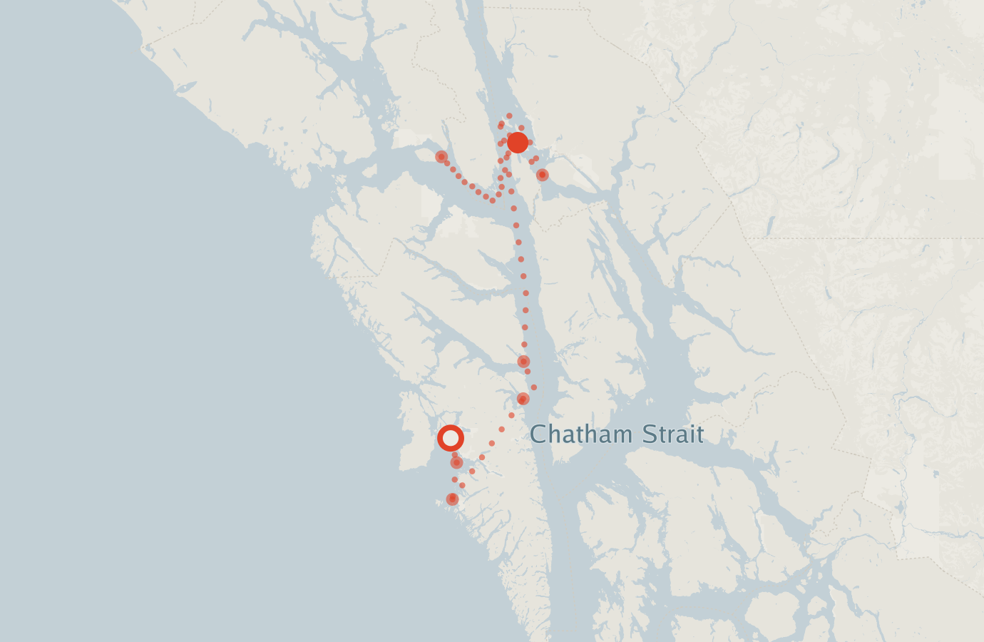 Activity map — real sighting points on an OpenStreetMap basemap