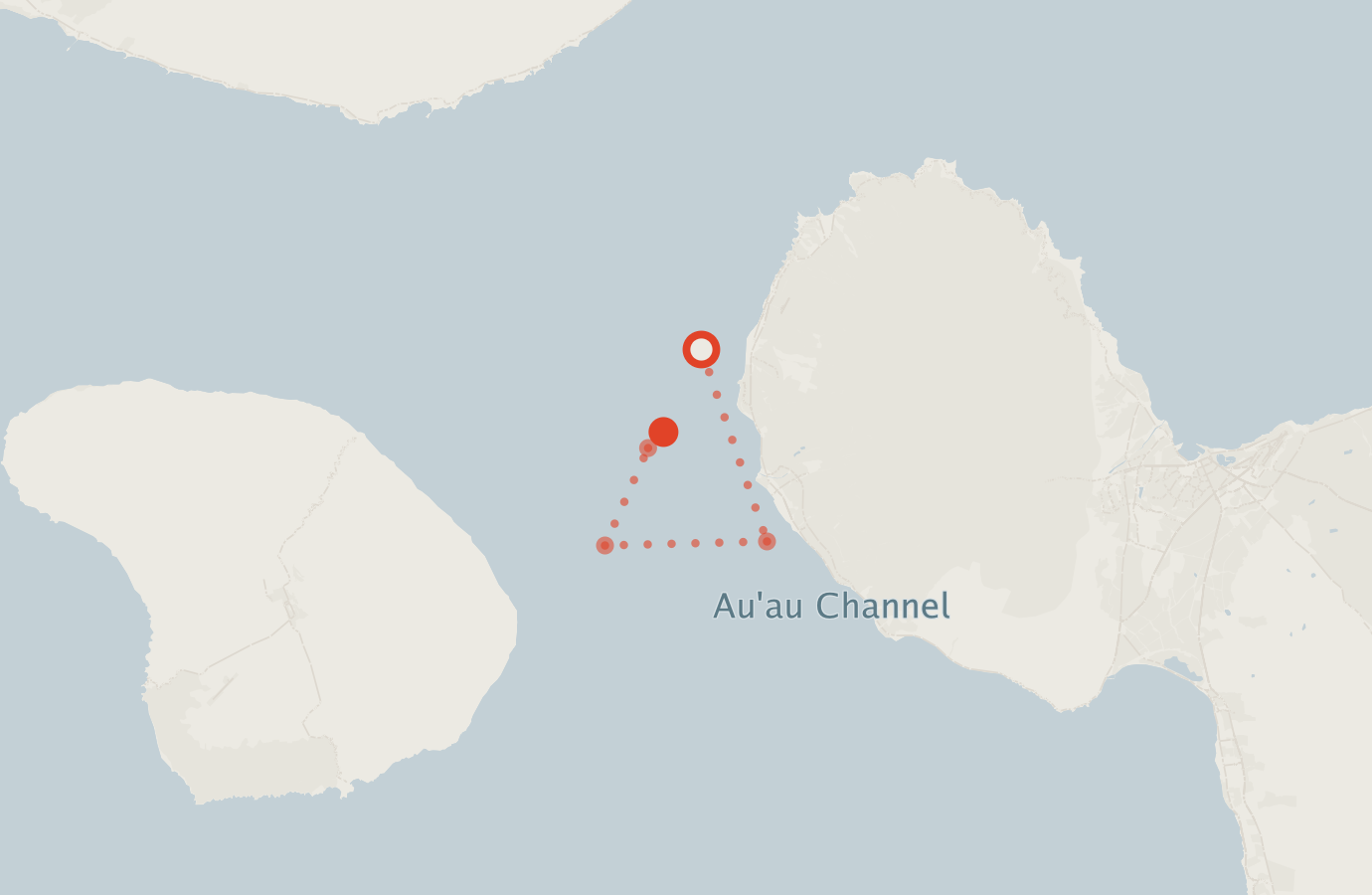 Activity map — real sighting points on an OpenStreetMap basemap
