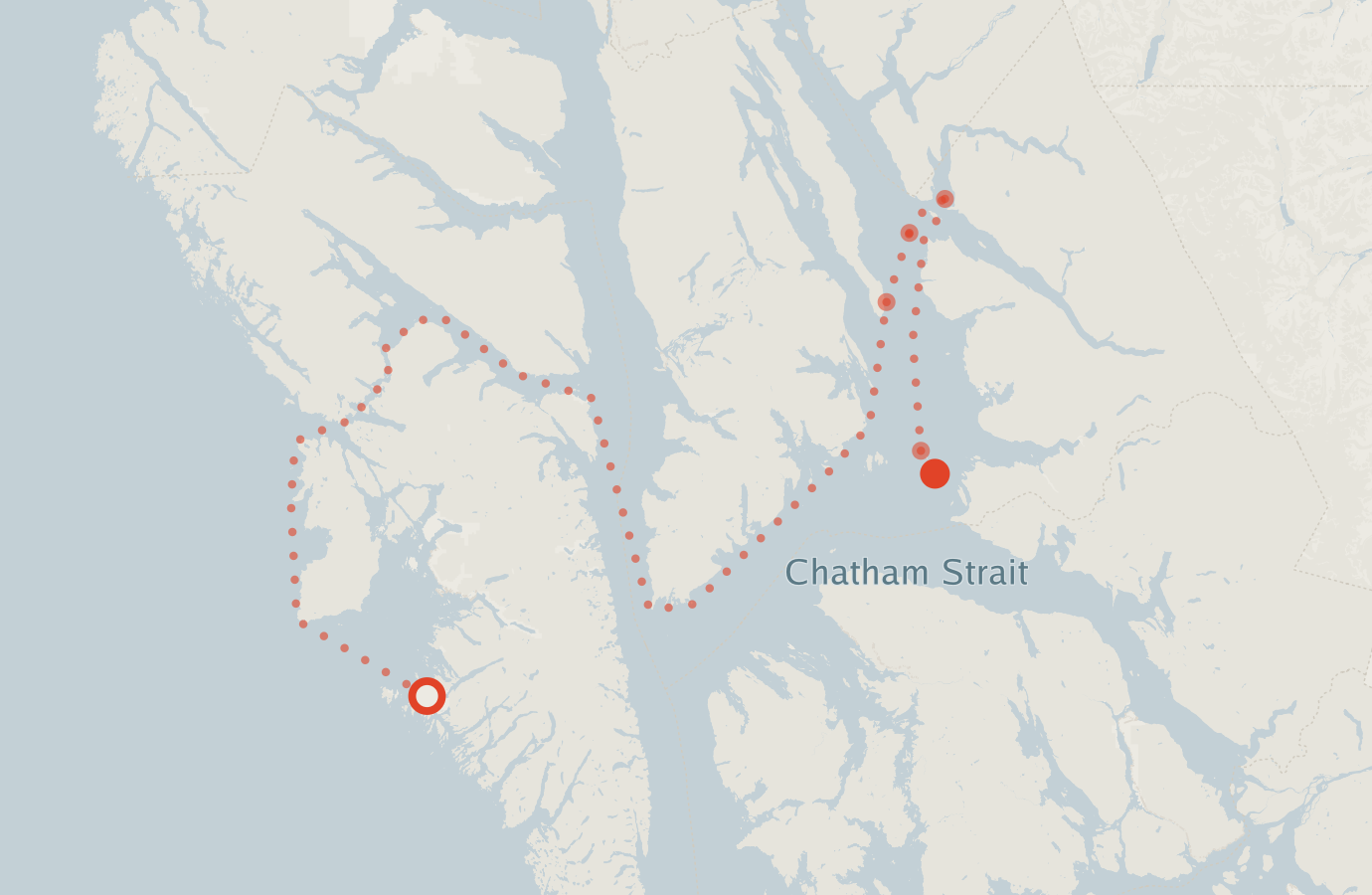 Activity map — real sighting points on an OpenStreetMap basemap
