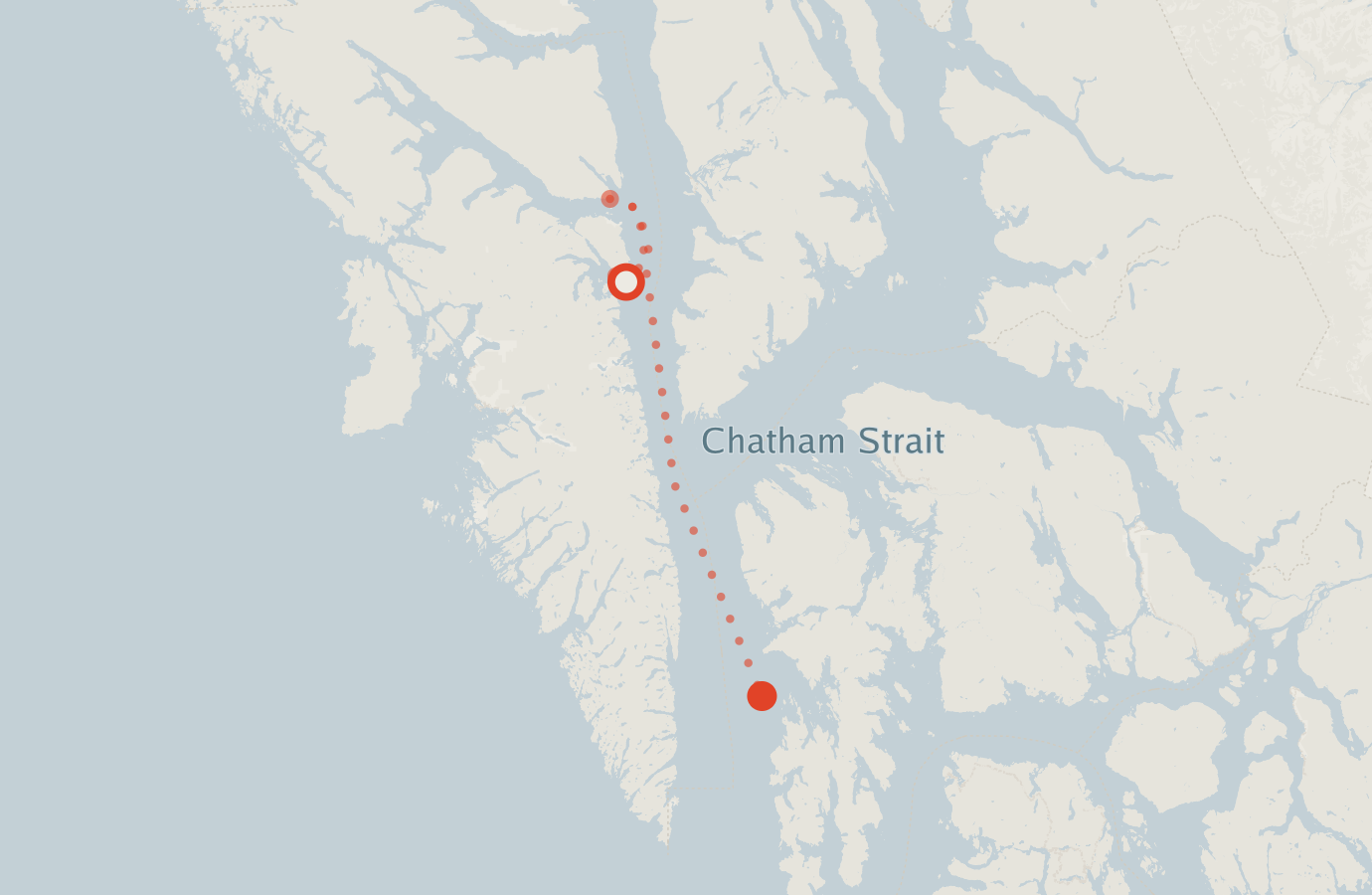 Activity map — real sighting points on an OpenStreetMap basemap