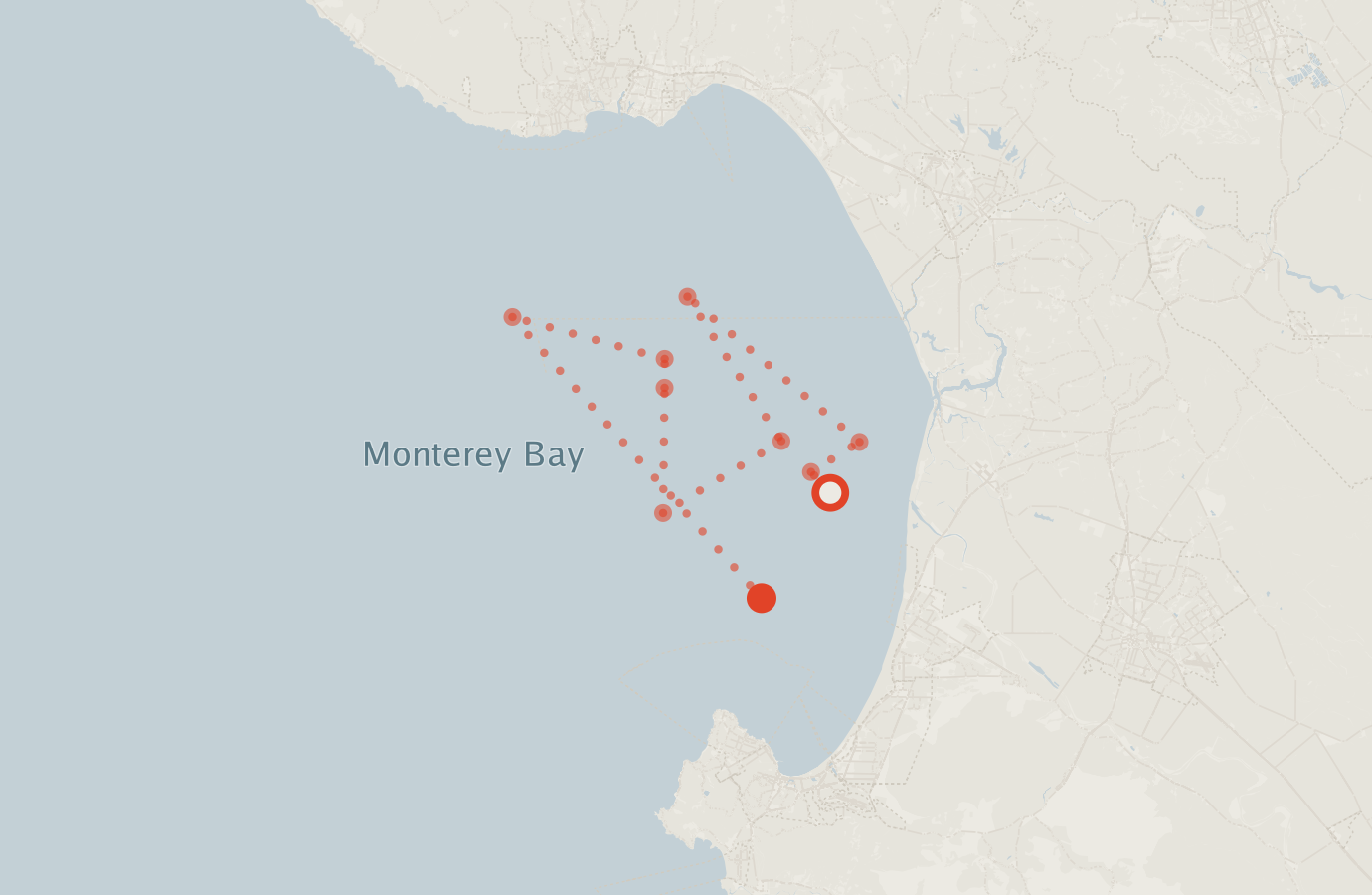 Activity map — real sighting points on an OpenStreetMap basemap