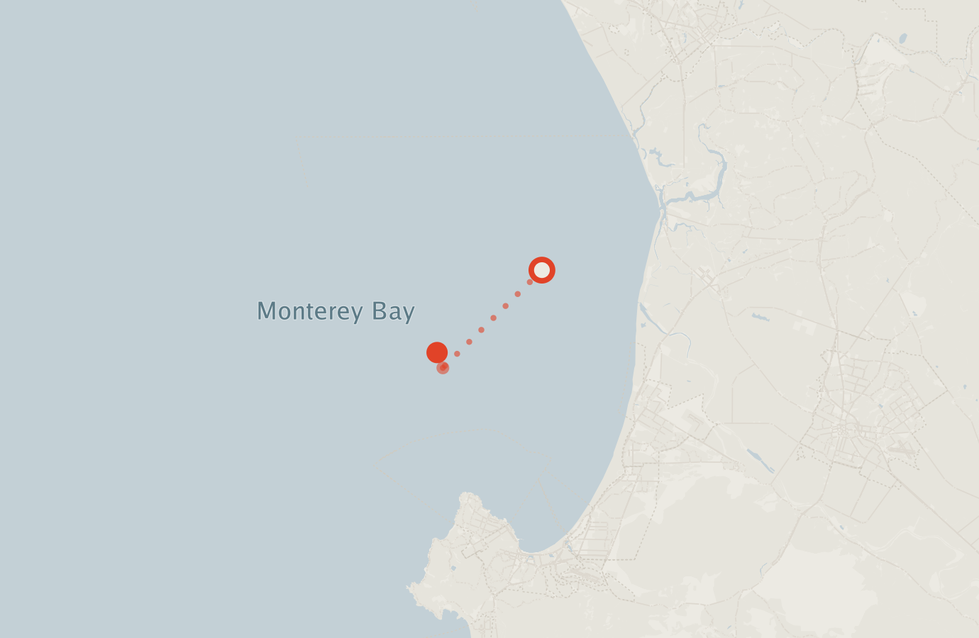 Activity map — real sighting points on an OpenStreetMap basemap