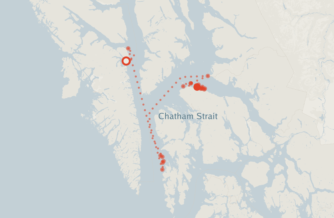 Activity map — real sighting points on an OpenStreetMap basemap