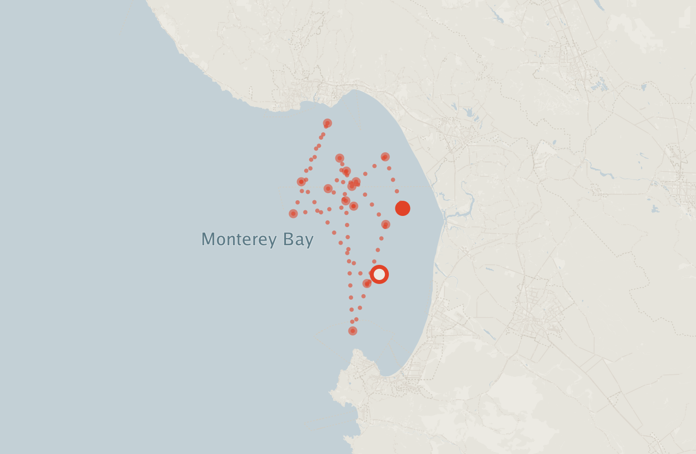 Activity map — real sighting points on an OpenStreetMap basemap