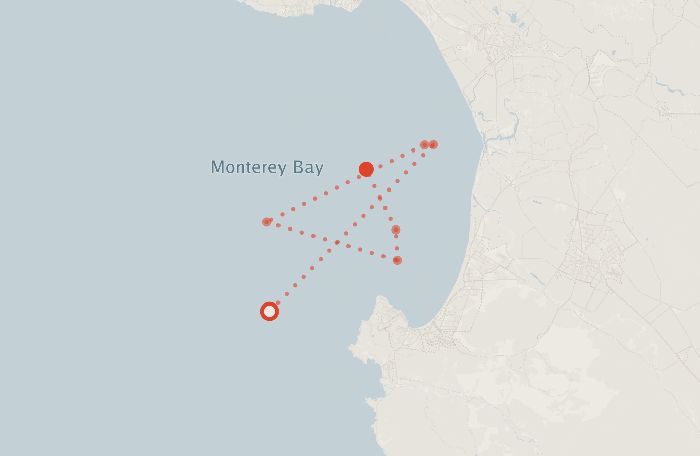 Activity map — real sighting points on an OpenStreetMap basemap