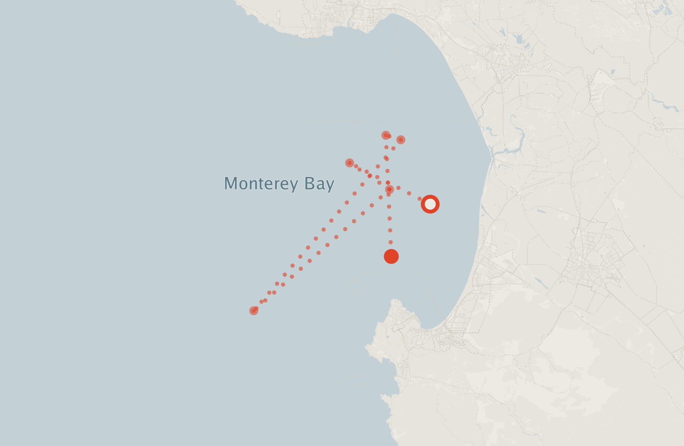 Activity map — real sighting points on an OpenStreetMap basemap