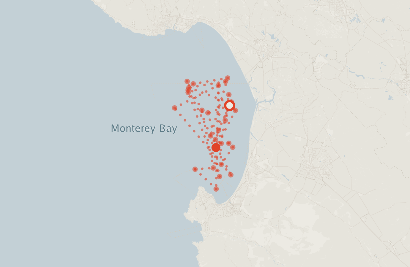 Activity map — real sighting points on an OpenStreetMap basemap