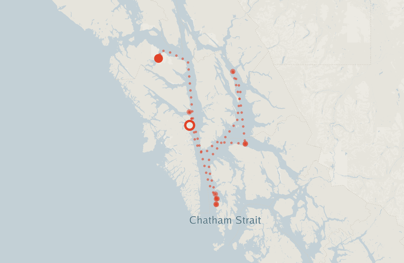 Activity map — real sighting points on an OpenStreetMap basemap