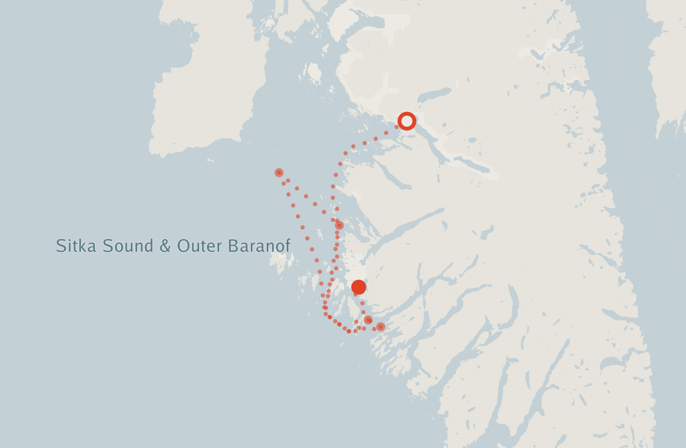 Activity map — real sighting points on an OpenStreetMap basemap