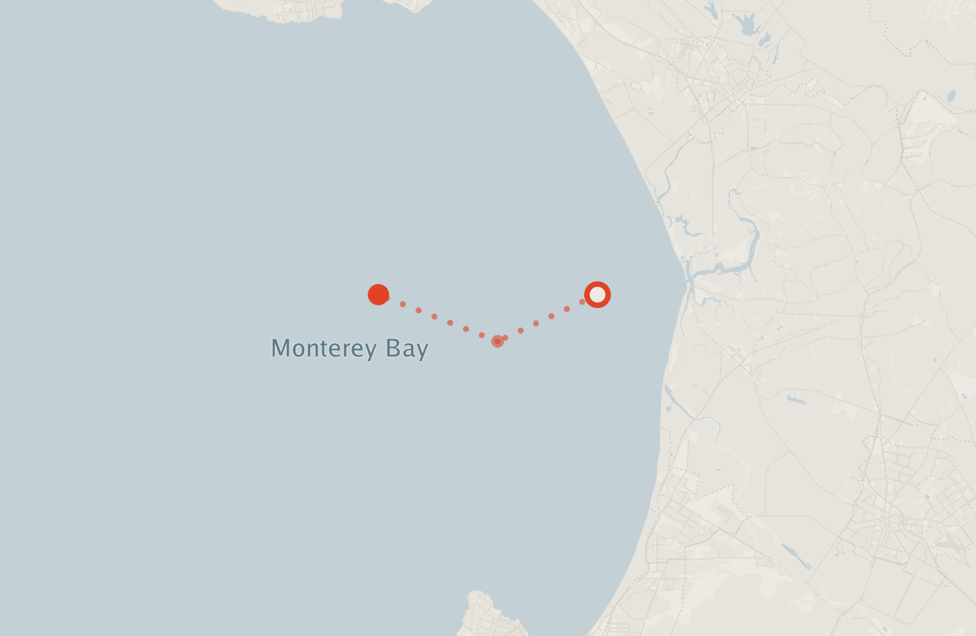 Activity map — real sighting points on an OpenStreetMap basemap