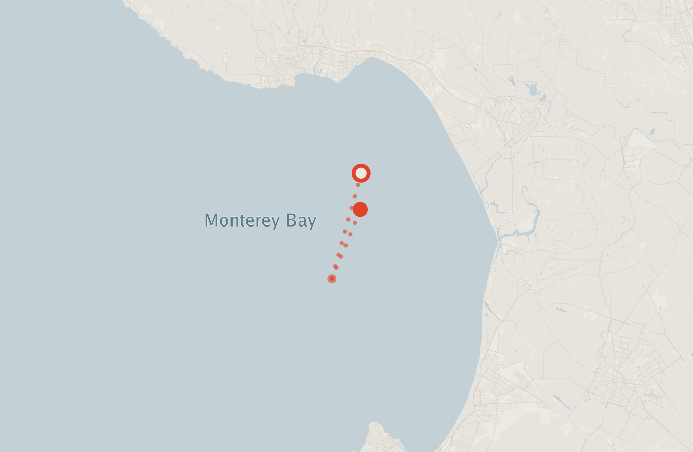 Activity map — real sighting points on an OpenStreetMap basemap