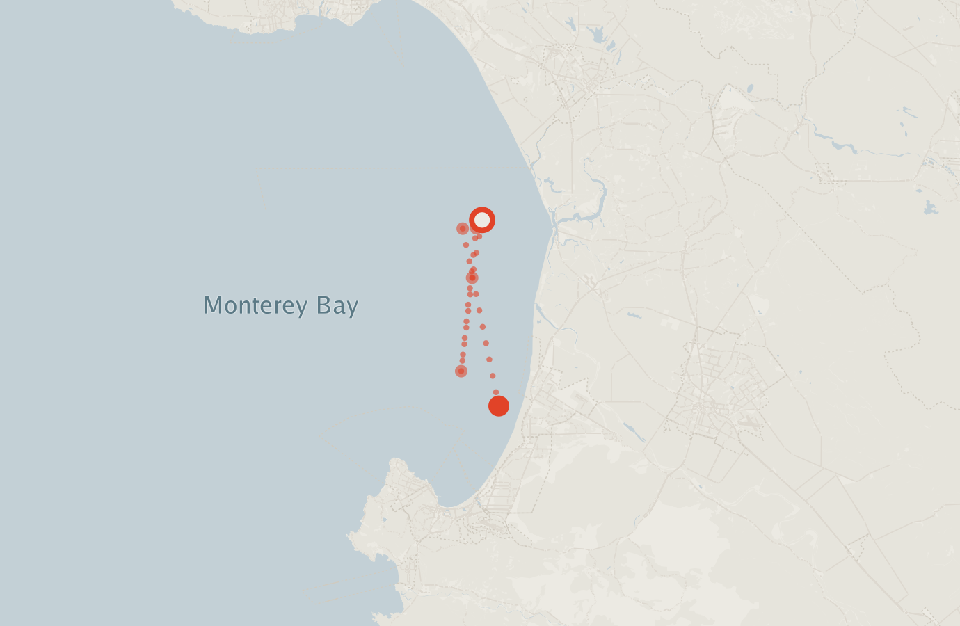 Activity map — real sighting points on an OpenStreetMap basemap