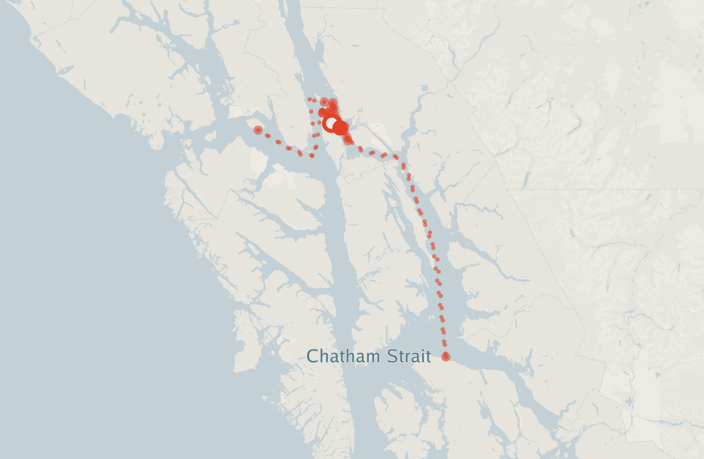 Activity map — real sighting points on an OpenStreetMap basemap