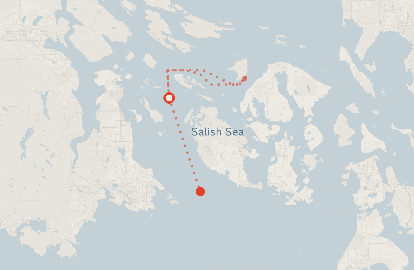Activity map — real sighting points on an OpenStreetMap basemap