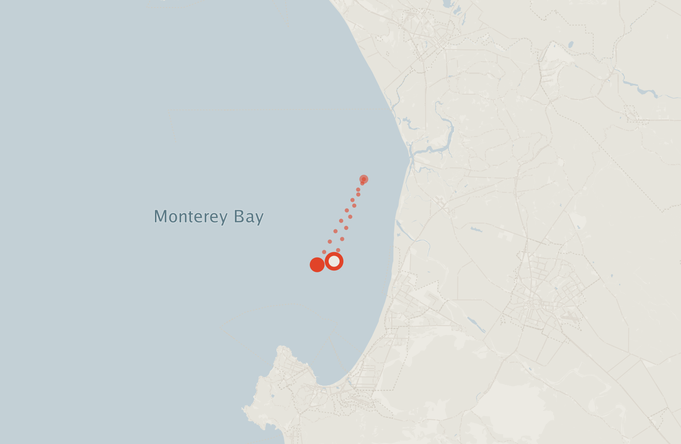 Activity map — real sighting points on an OpenStreetMap basemap