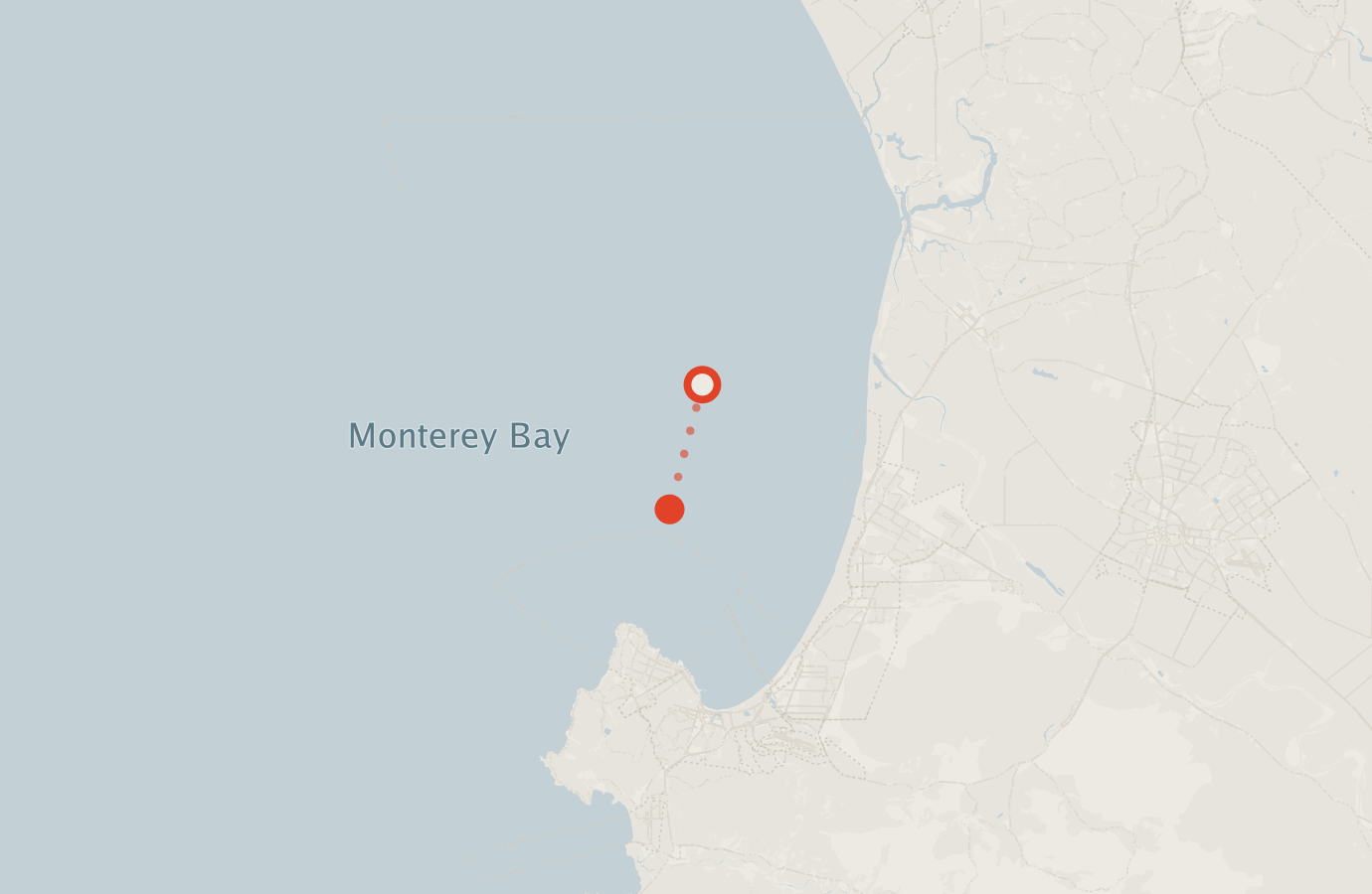 Activity map — real sighting points on an OpenStreetMap basemap