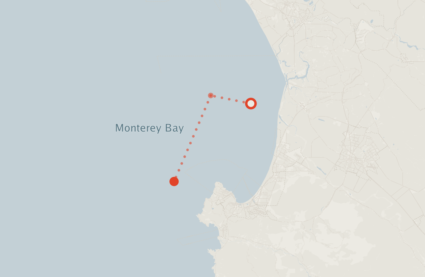Activity map — real sighting points on an OpenStreetMap basemap