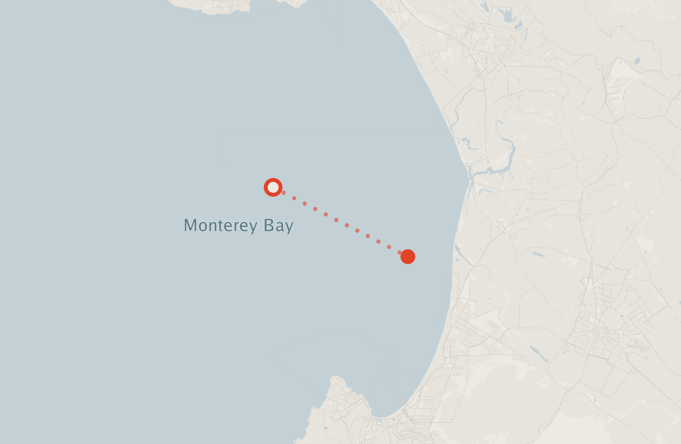 Activity map — real sighting points on an OpenStreetMap basemap
