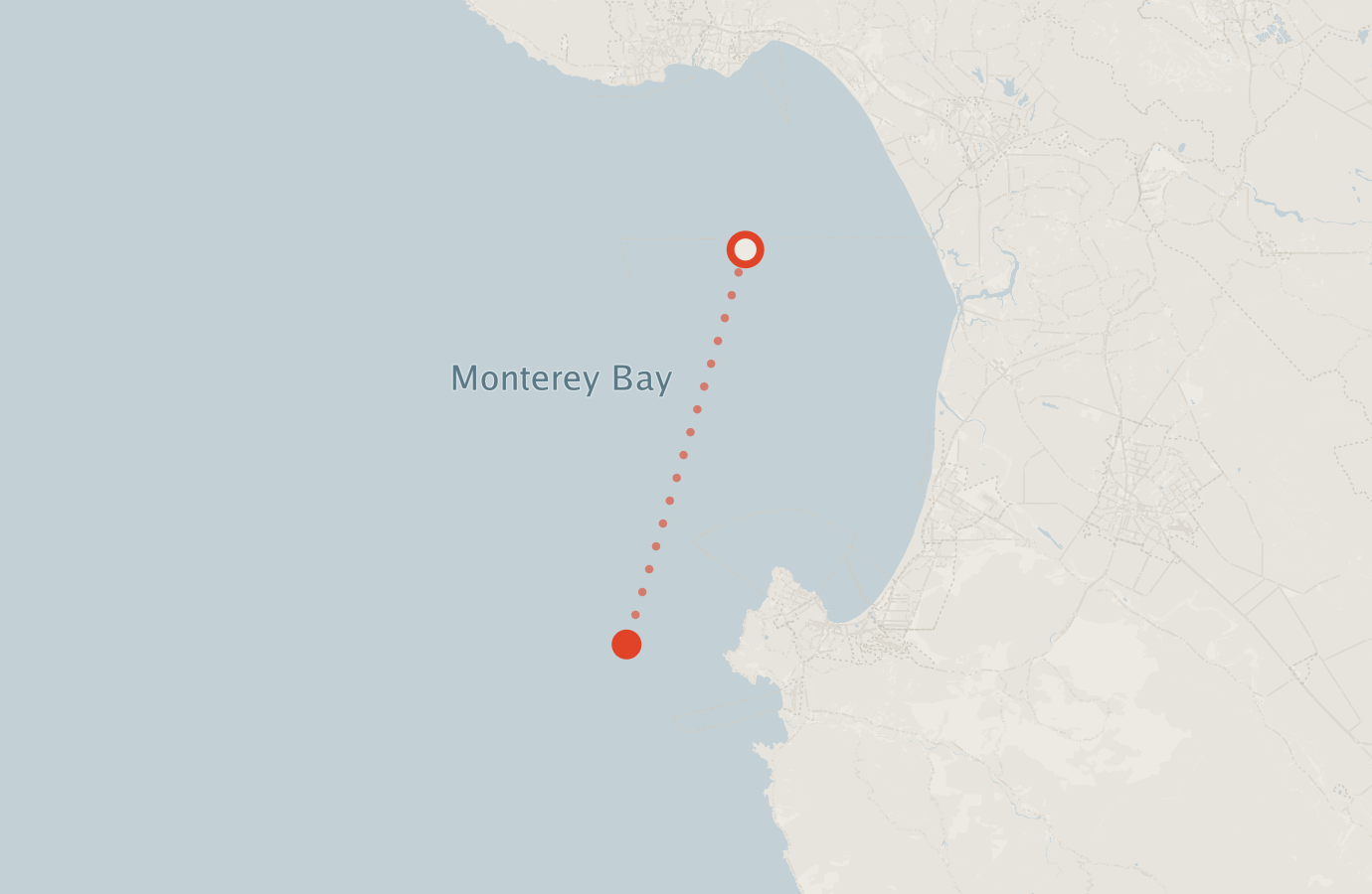 Activity map — real sighting points on an OpenStreetMap basemap