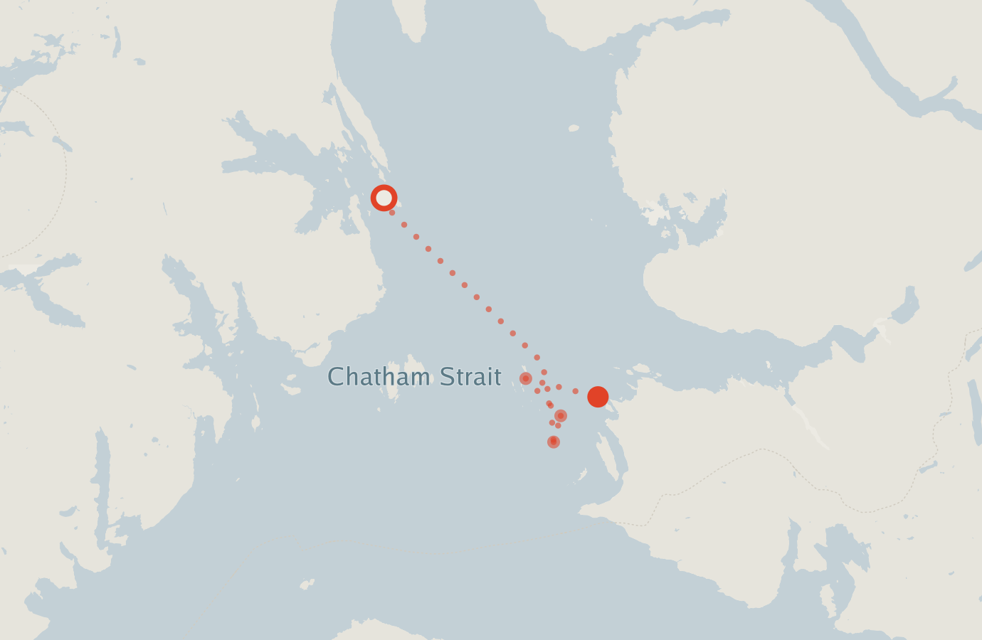 Activity map — real sighting points on an OpenStreetMap basemap