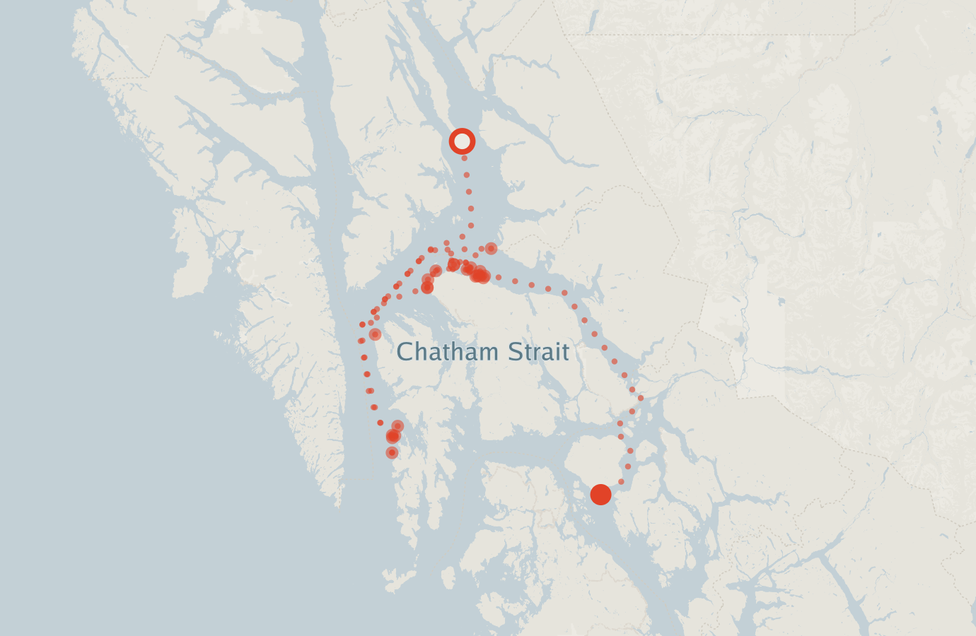 Activity map — real sighting points on an OpenStreetMap basemap
