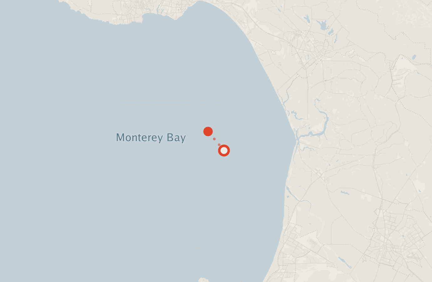 Activity map — real sighting points on an OpenStreetMap basemap