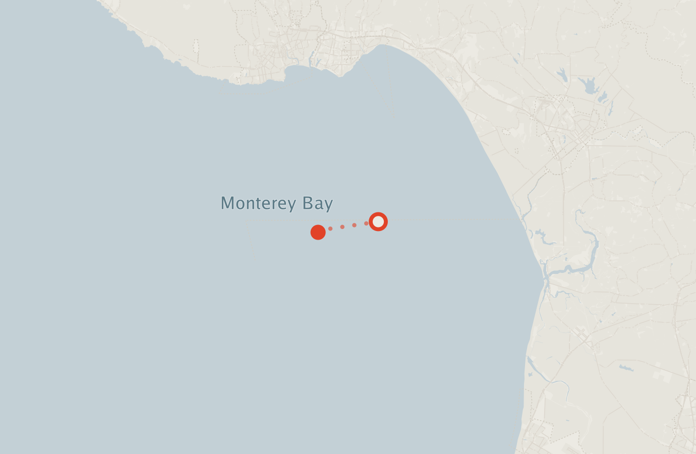 Activity map — real sighting points on an OpenStreetMap basemap