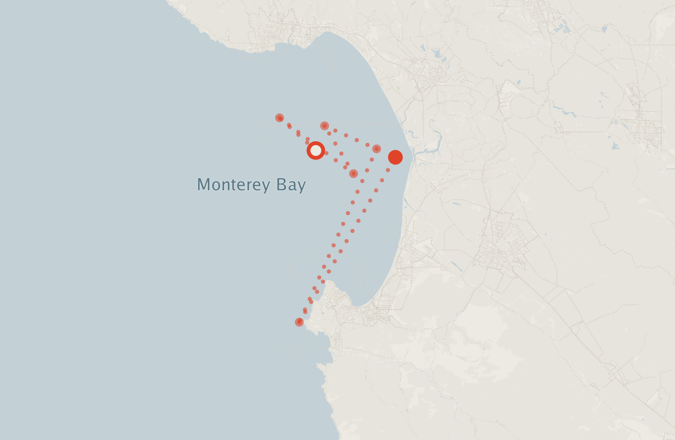 Activity map — real sighting points on an OpenStreetMap basemap