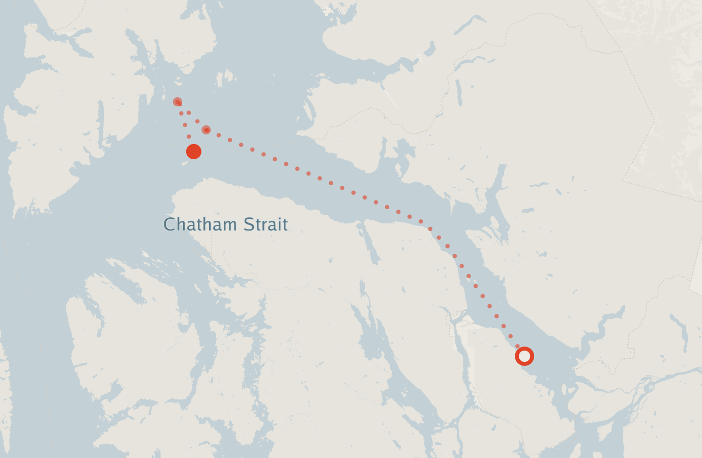Activity map — real sighting points on an OpenStreetMap basemap