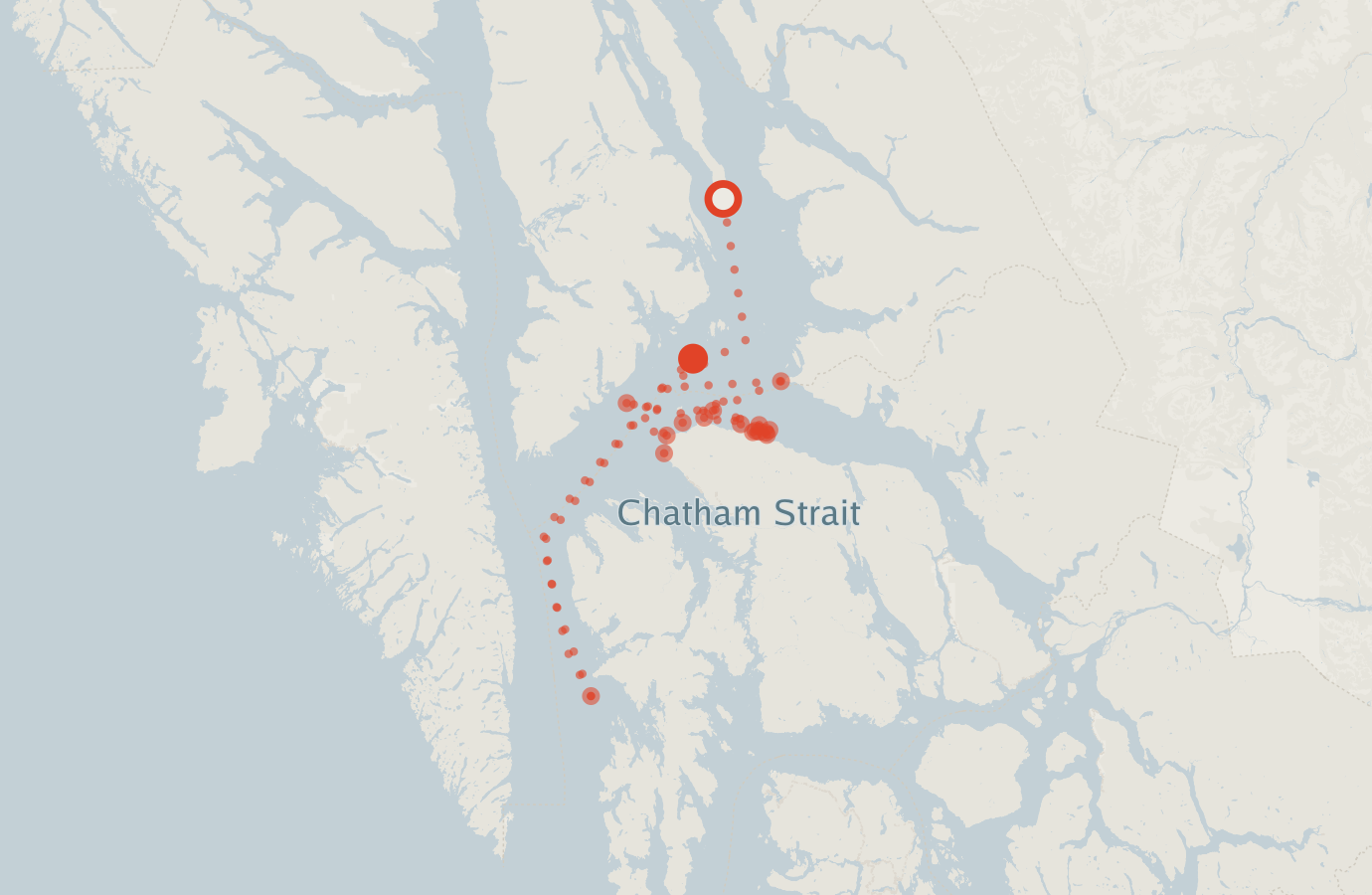 Activity map — real sighting points on an OpenStreetMap basemap