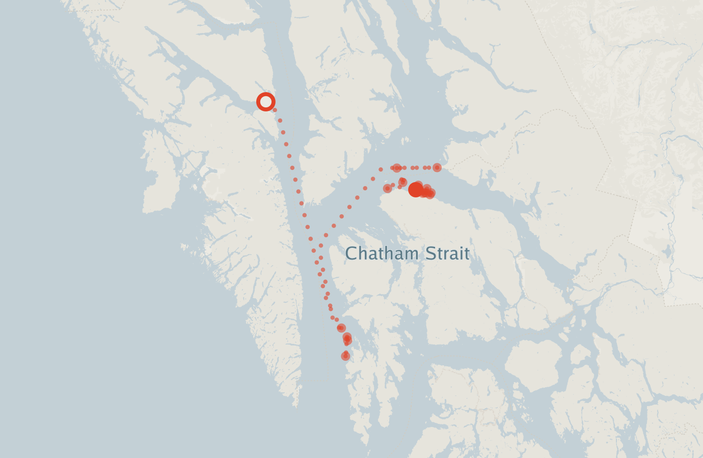 Activity map — real sighting points on an OpenStreetMap basemap