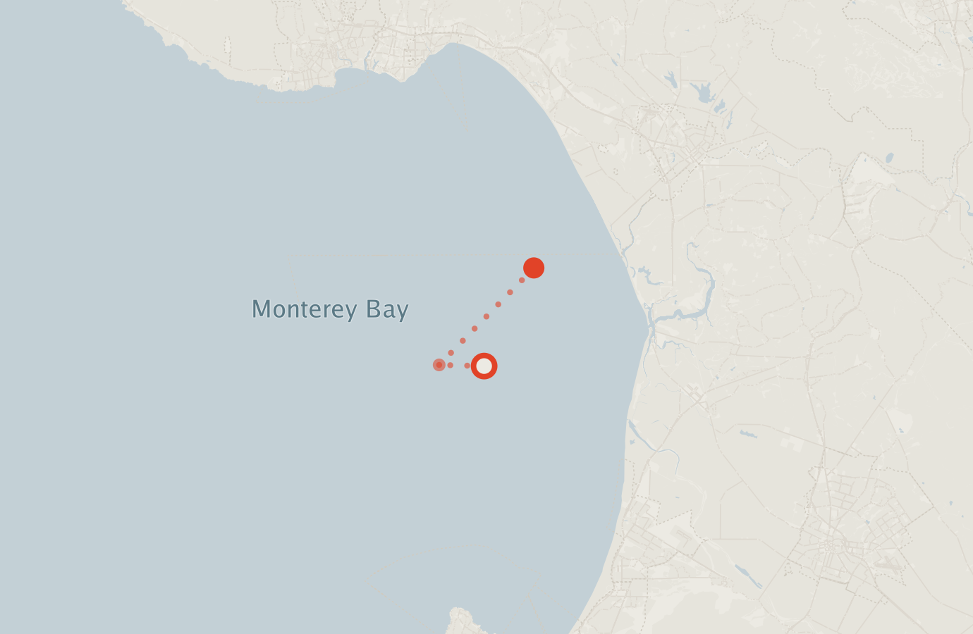 Activity map — real sighting points on an OpenStreetMap basemap
