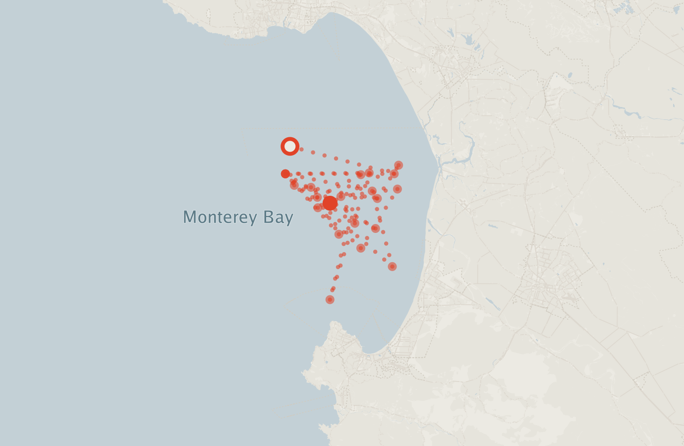 Activity map — real sighting points on an OpenStreetMap basemap