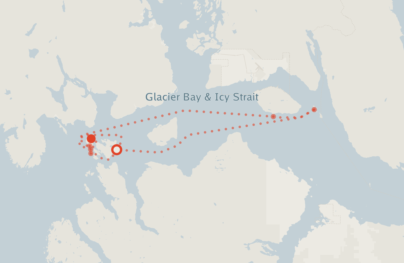 Activity map — real sighting points on an OpenStreetMap basemap
