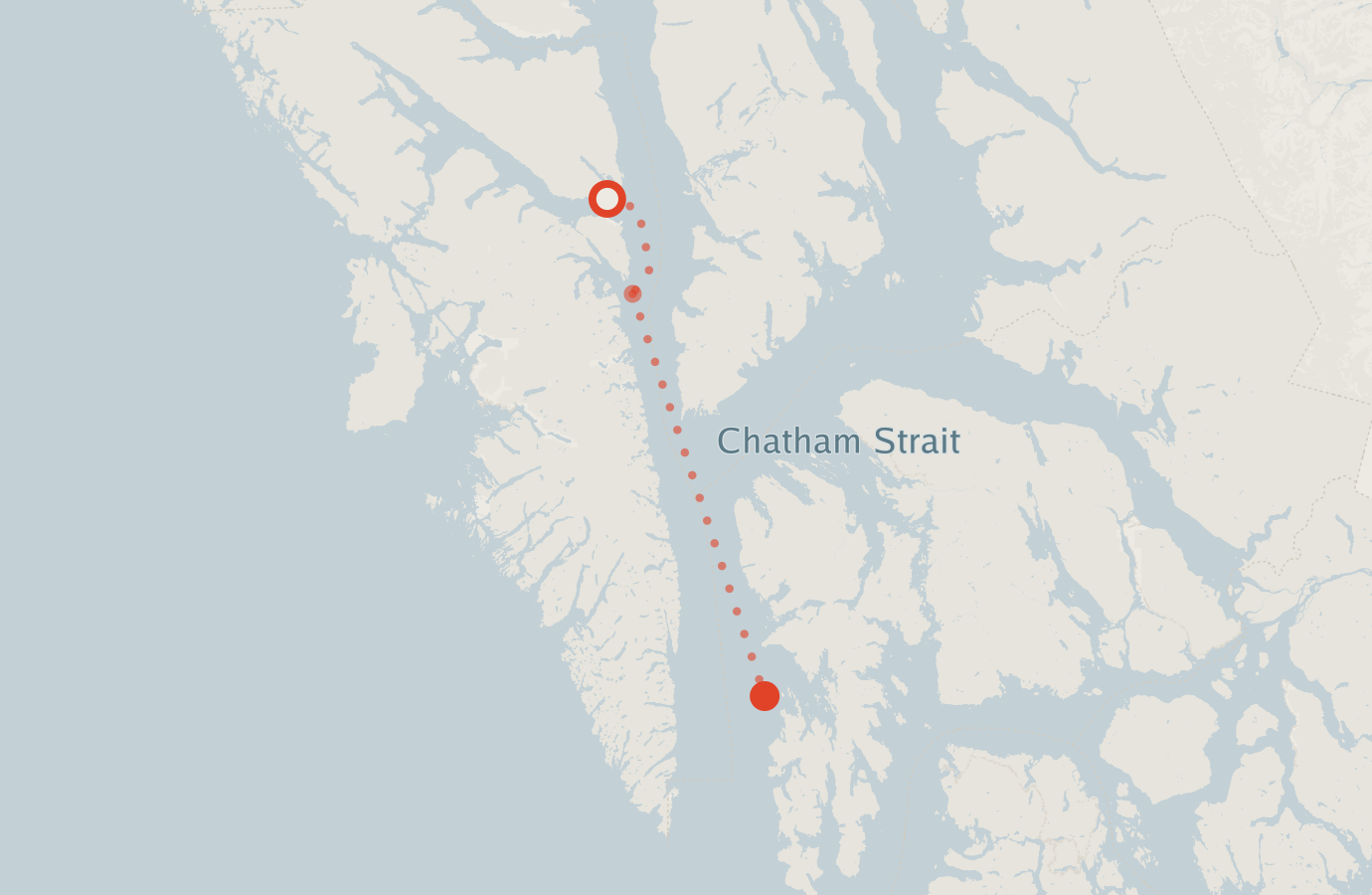 Activity map — real sighting points on an OpenStreetMap basemap