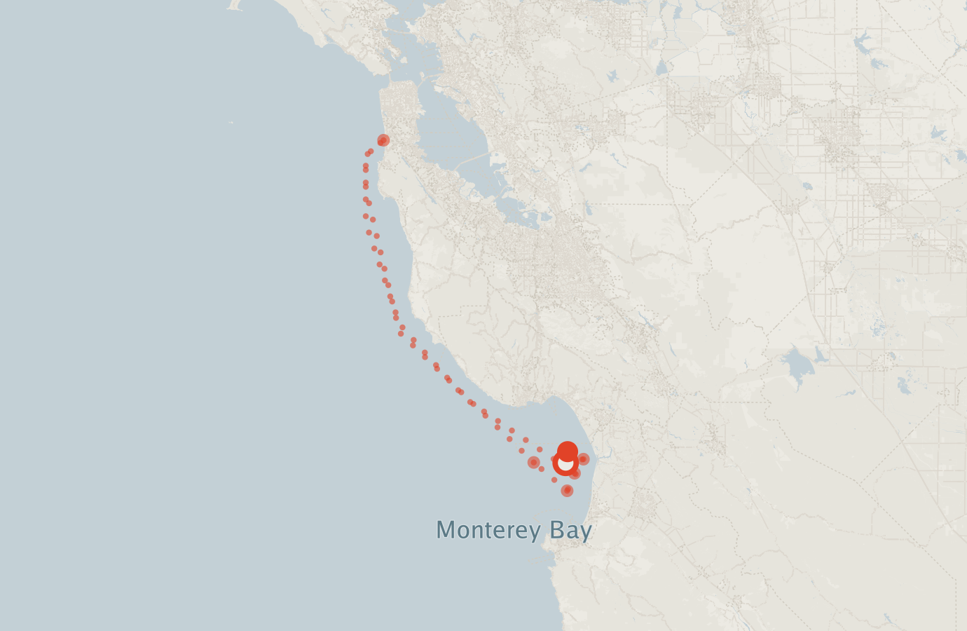 Activity map — real sighting points on an OpenStreetMap basemap