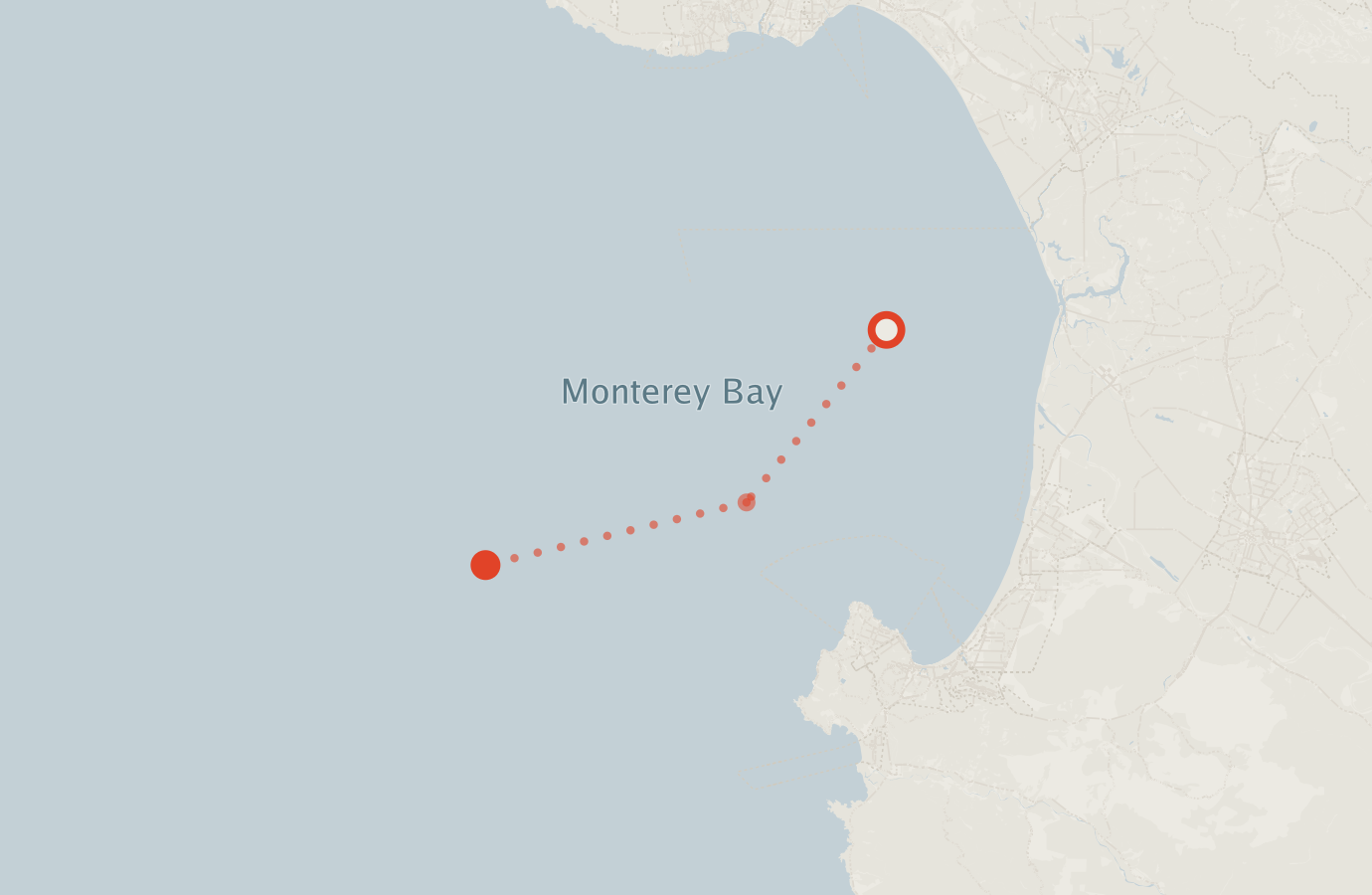 Activity map — real sighting points on an OpenStreetMap basemap
